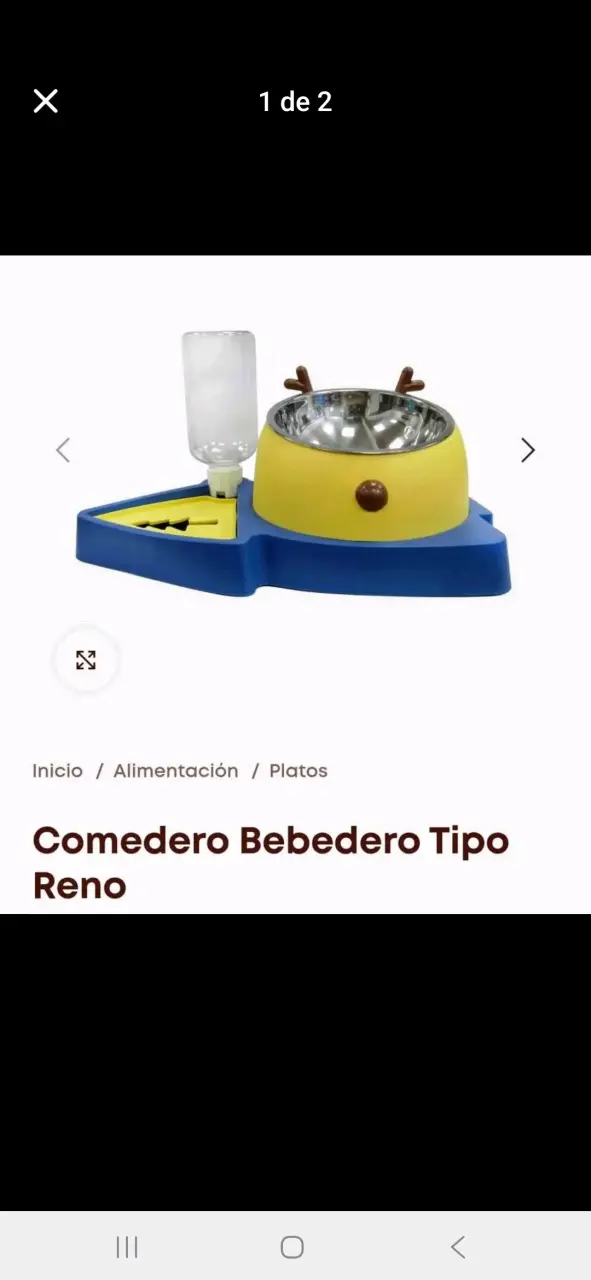 Comedero y bebedero perro- gato en altura