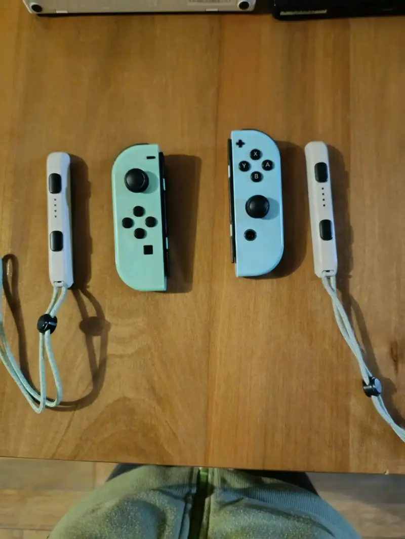 Nintendo Switch Animal Crossing - 3