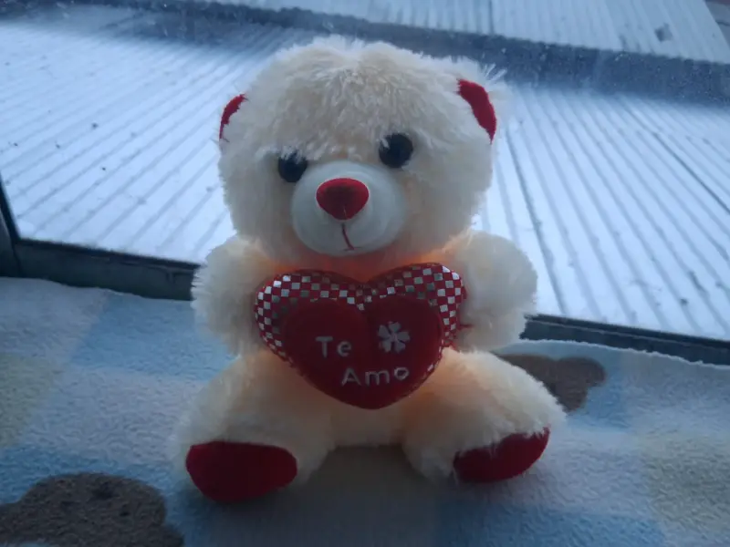 Oso de peluche con corazón - 1