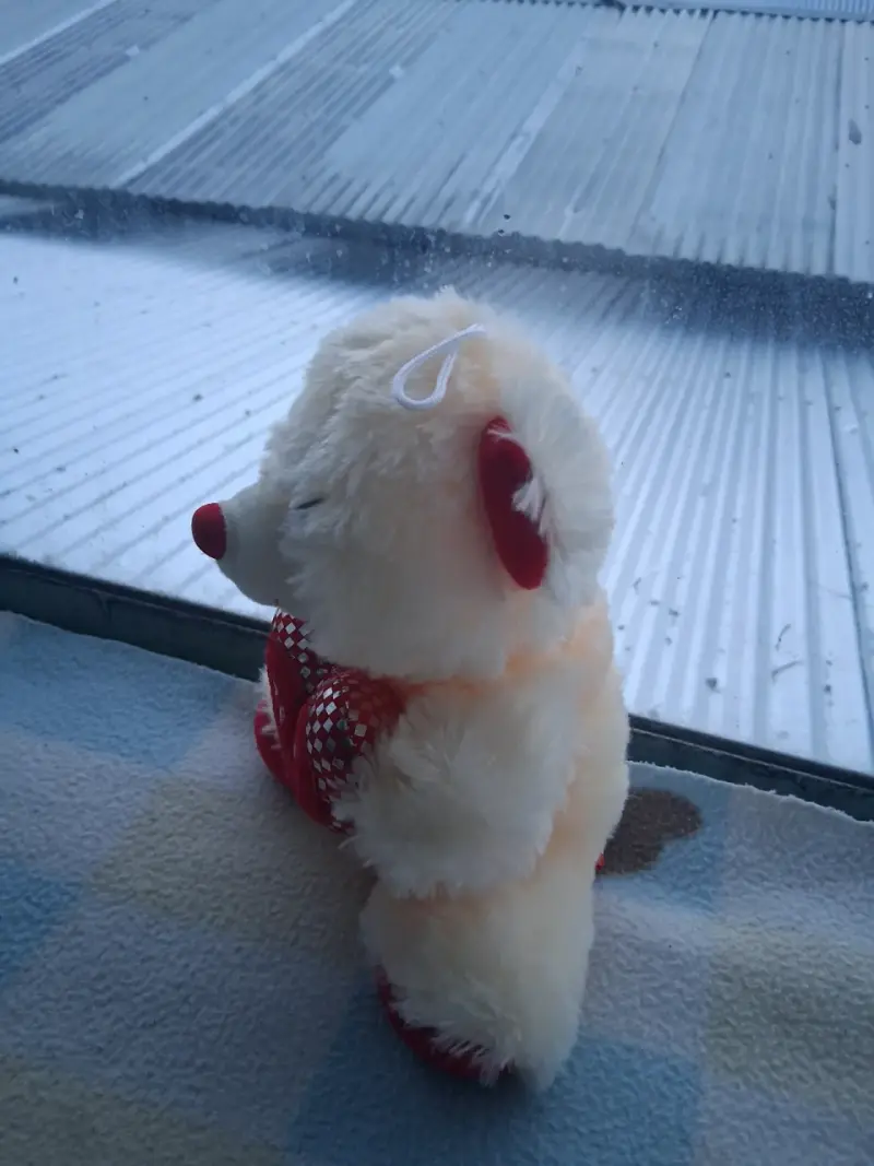 Oso de peluche con corazón - 2