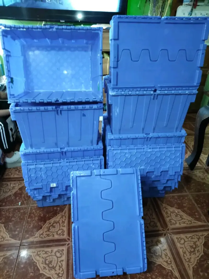 Cajas plásticas fuertes azules - 1