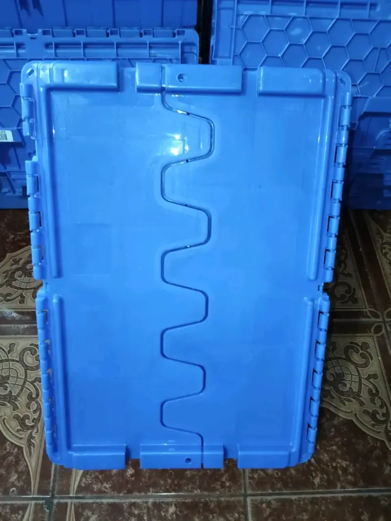 Cajas plásticas fuertes azules - 2