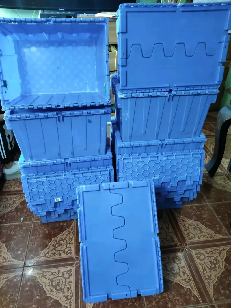 Cajas plásticas fuertes azules - 3