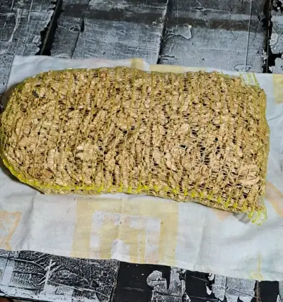 Vendo nueces peladas - miniatura 2