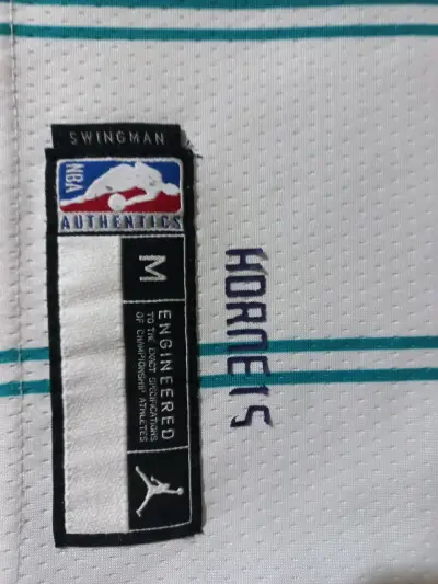 Camiseta Charlotte Hornets Jordan N°4 - miniatura 3