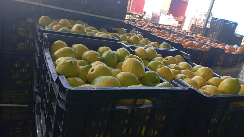 Sacos de limones frescos - 2
