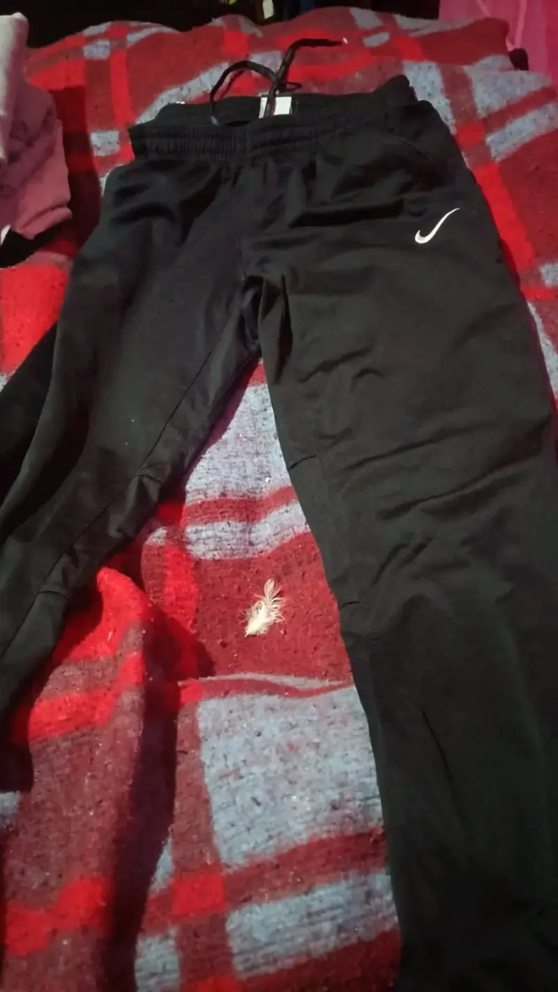 Pantalones deportivos grises Nike - 2