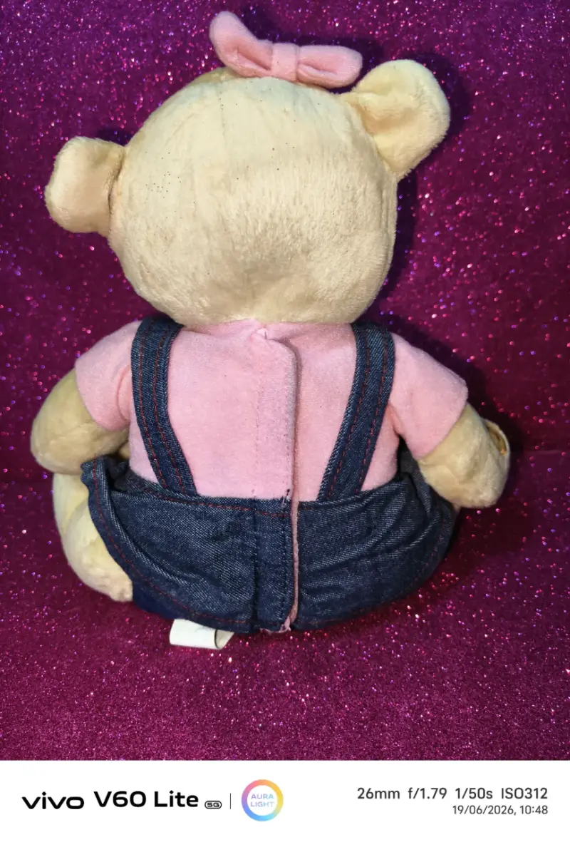 Osito de peluche educativo - 2