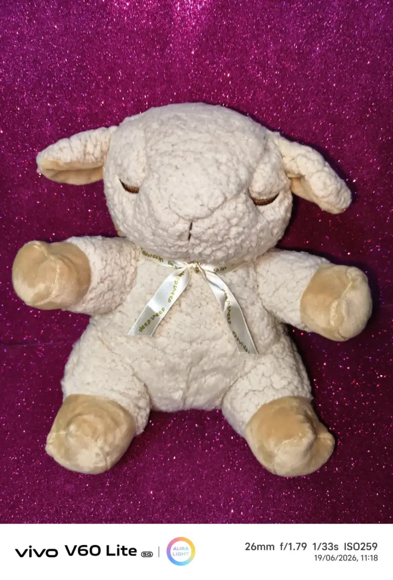 Peluche de oveja con lazo - 1