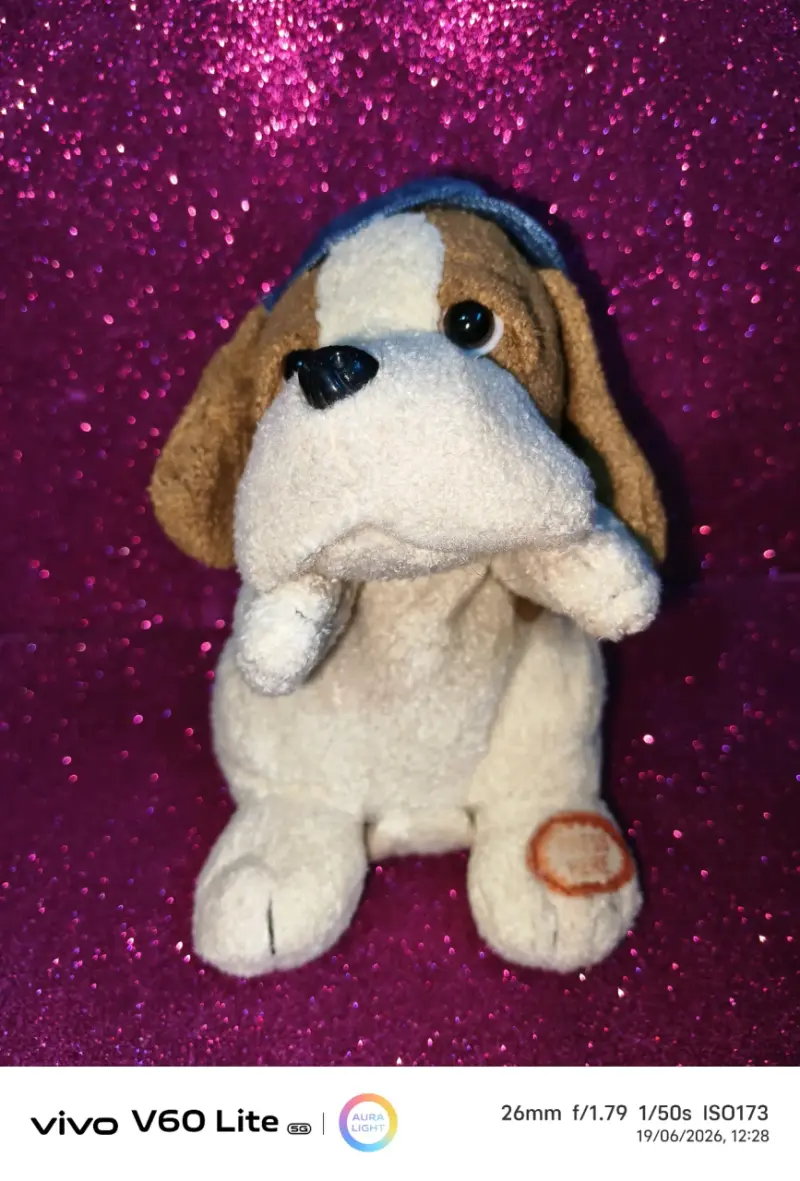 Peluche de perro Beagle - 1