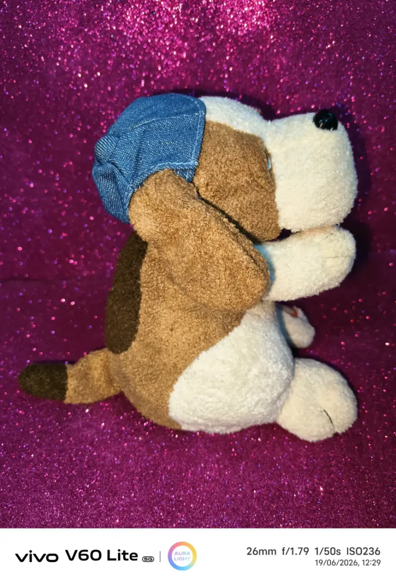 Peluche de perro Beagle - 2