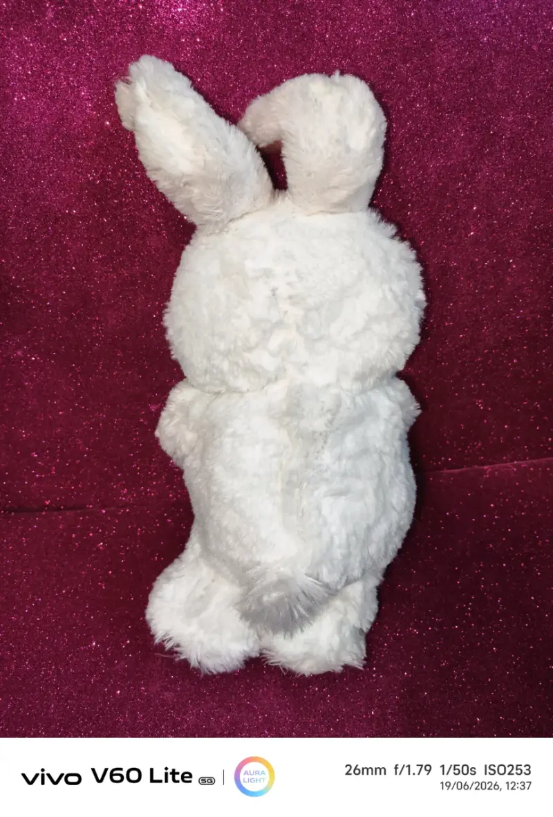Conejo de peluche con huevo - 2