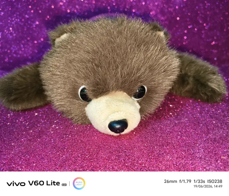 Peluche oso marrón suave - 1