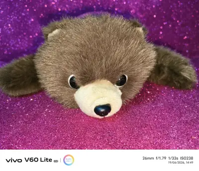Peluche oso marrón suave - miniatura 1