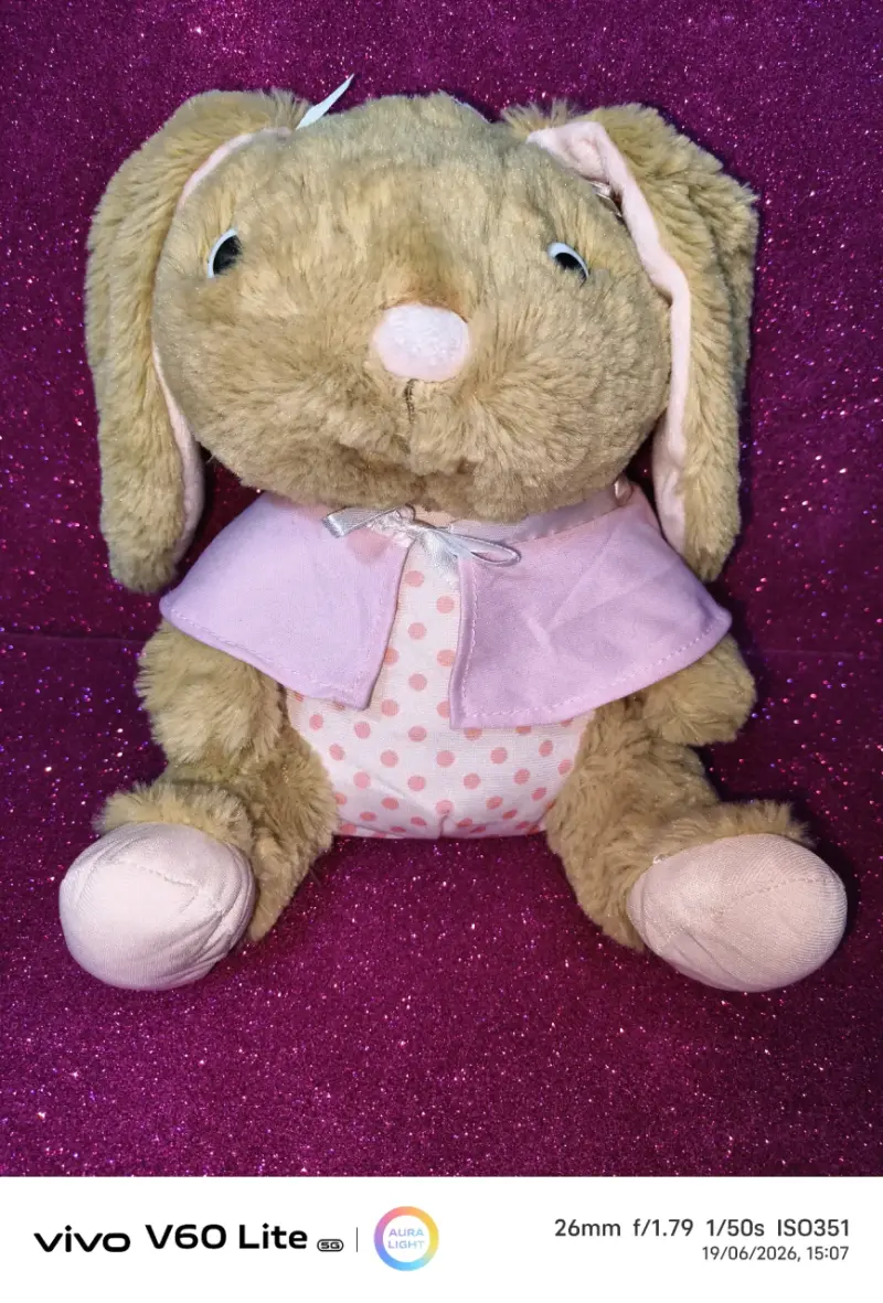 Conejo de peluche rosa - 1