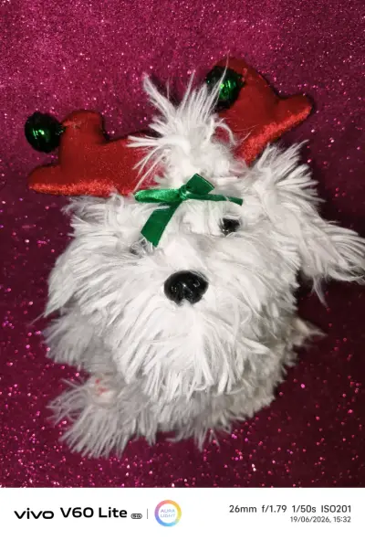 Peluche perrito navideño blanco - miniatura 3