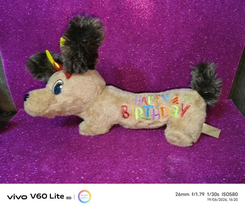 Peluche perro Happy Birthday - 1