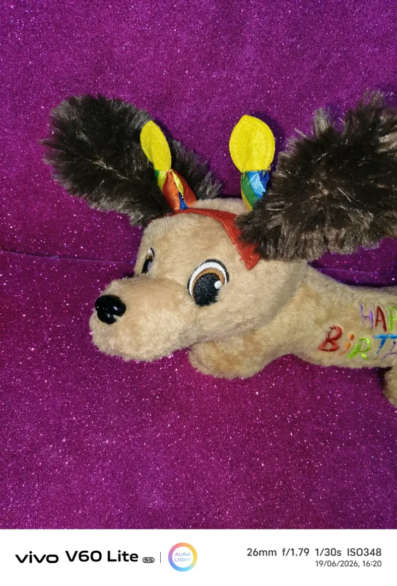 Peluche perro Happy Birthday - 2
