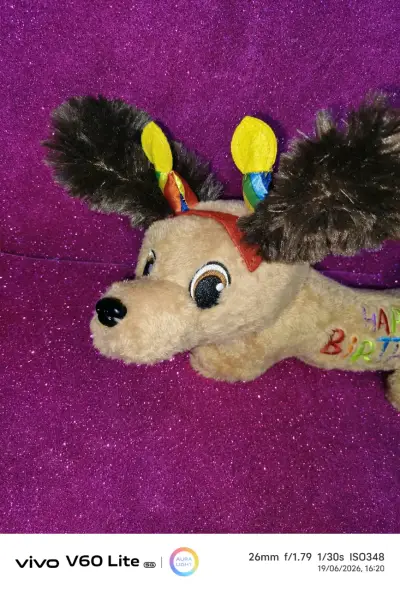 Peluche perro Happy Birthday - miniatura 2