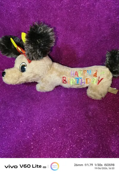 Peluche perro Happy Birthday - miniatura 3