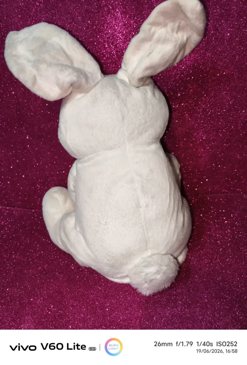 Peluche conejo beige - 3