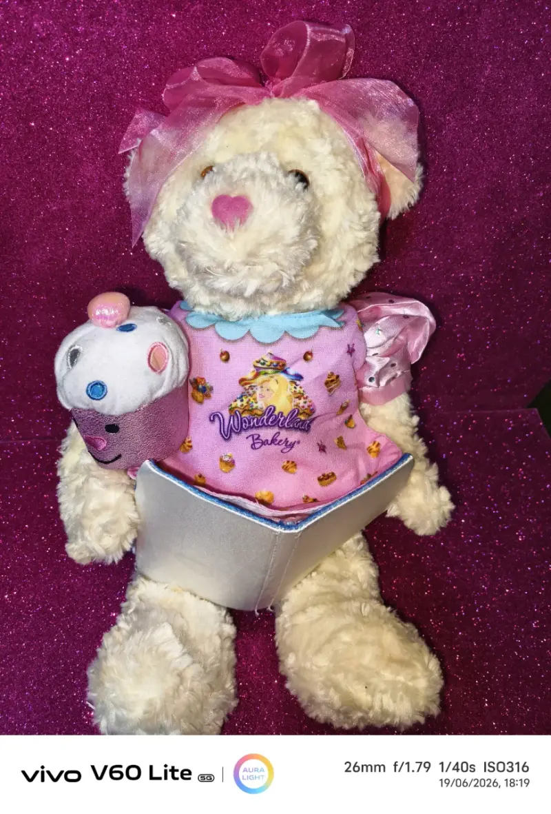 Osito de peluche con lazo rosa - 1