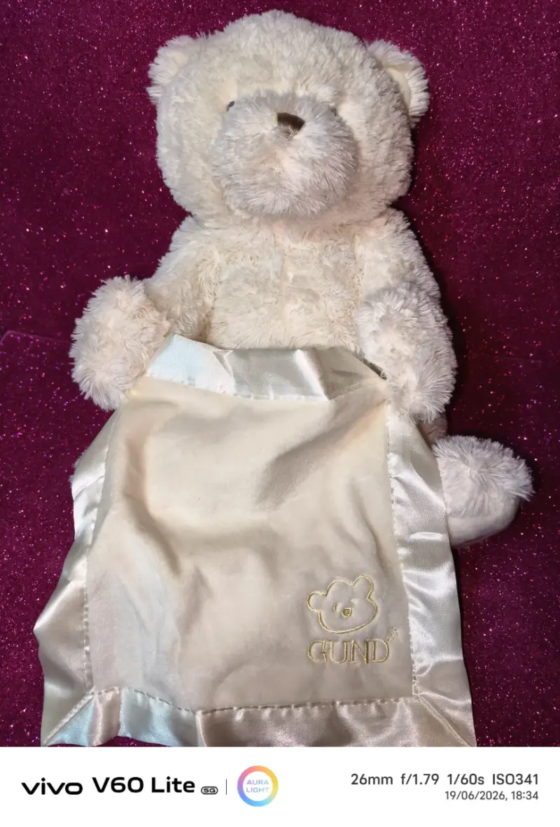 Osito de peluche con manta - 1