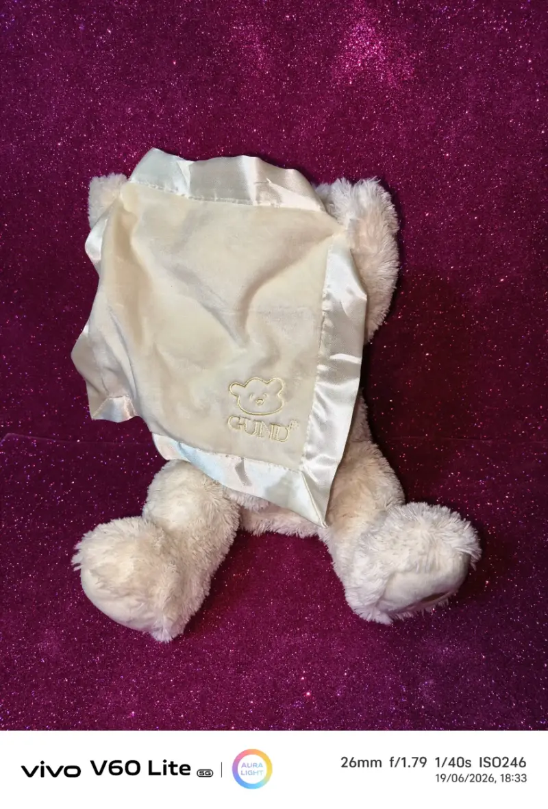 Osito de peluche con manta - 2