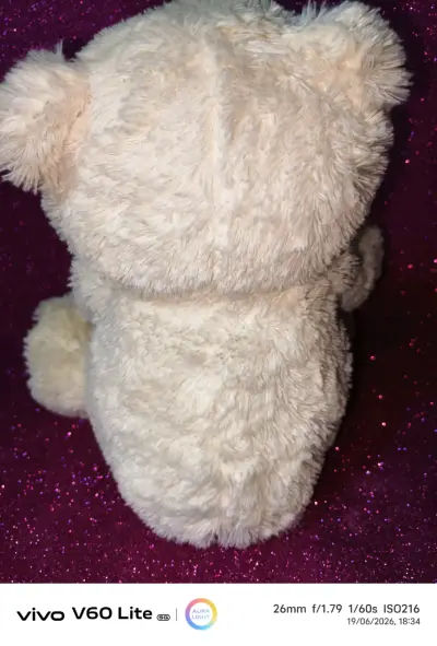 Osito de peluche con manta - miniatura 3