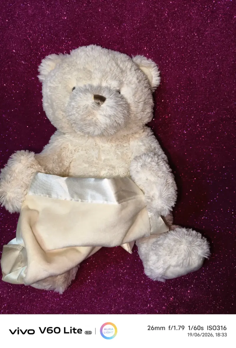 Osito de peluche con manta - 4