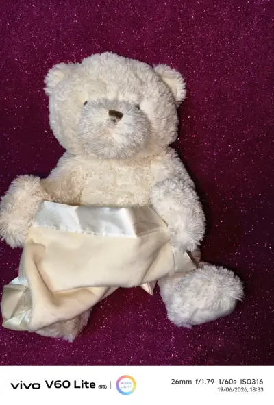 Osito de peluche con manta - miniatura 4
