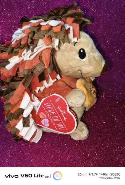 Peluche erizo con mensaje - miniatura 2