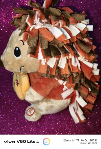Peluche erizo con mensaje - miniatura 3