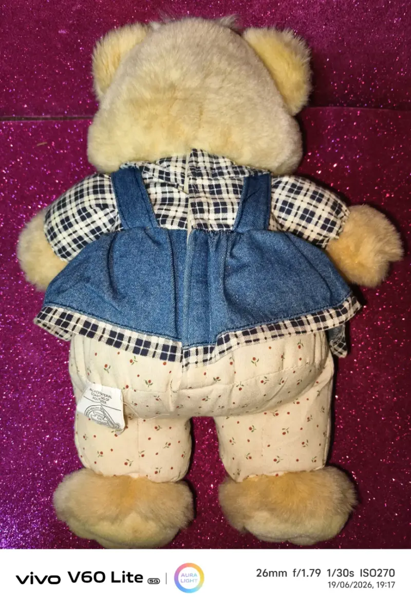 Osito de peluche con vestido - 2