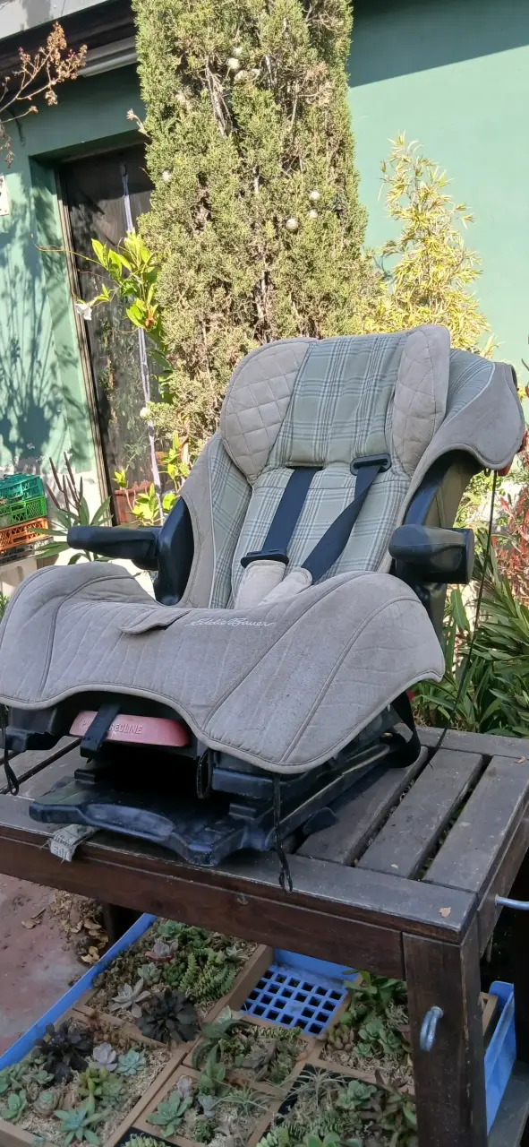 Silla de auto Eddie Bauer - 3