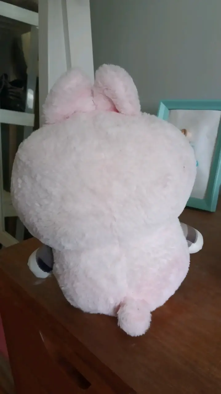 Peluche de gato disfrazado - 2