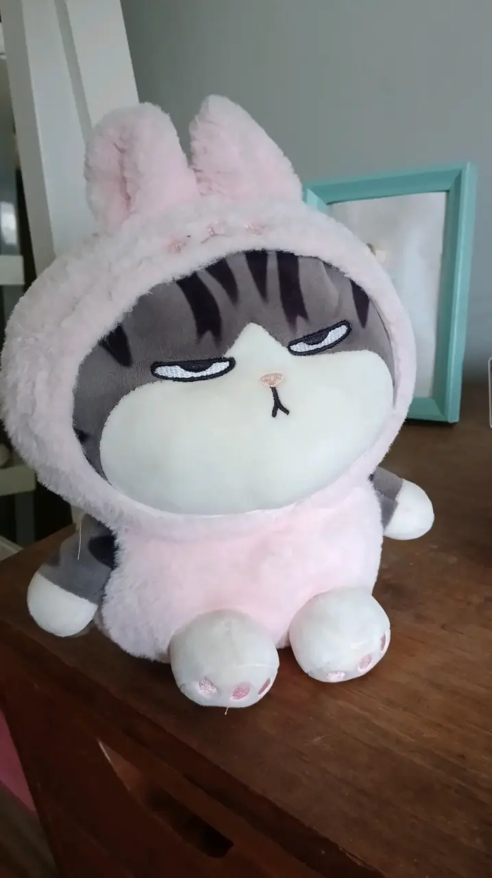 Peluche de gato disfrazado - 3