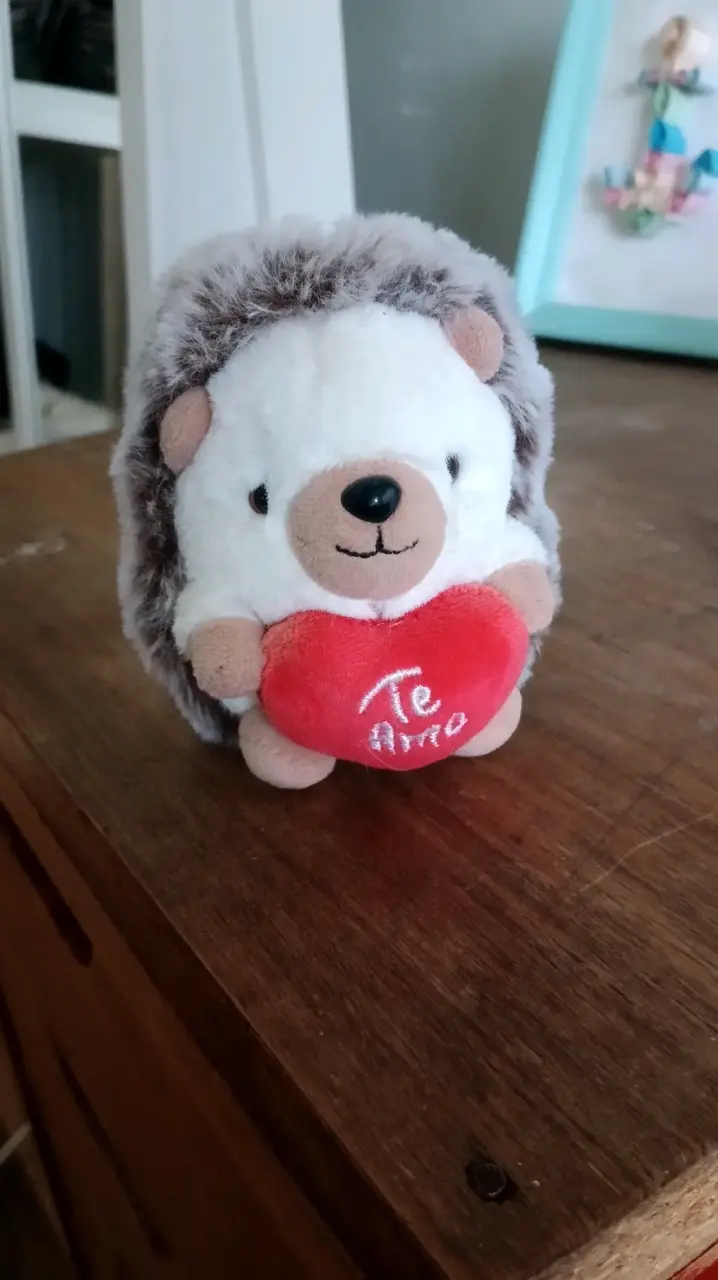 Peluche erizo con corazón - 1