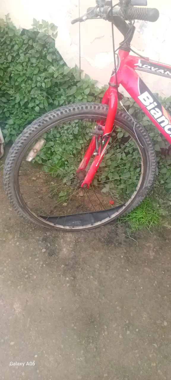 Bicicleta montaña Bianchi roja - 2