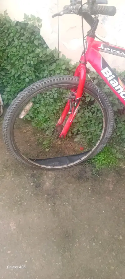 Bicicleta montaña Bianchi roja - miniatura 2