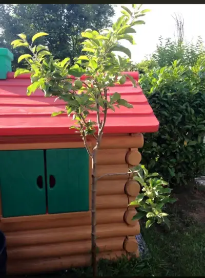 Casita de juguete exterior CHICCO modelo Chalet - miniatura 3