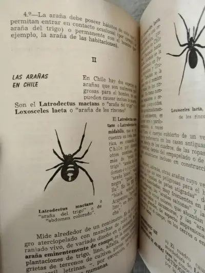 Libro Insectos Portadores De Enfermedades En Chile - miniatura 2