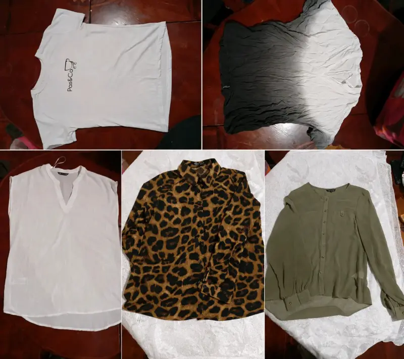 Lote de blusas y poleras