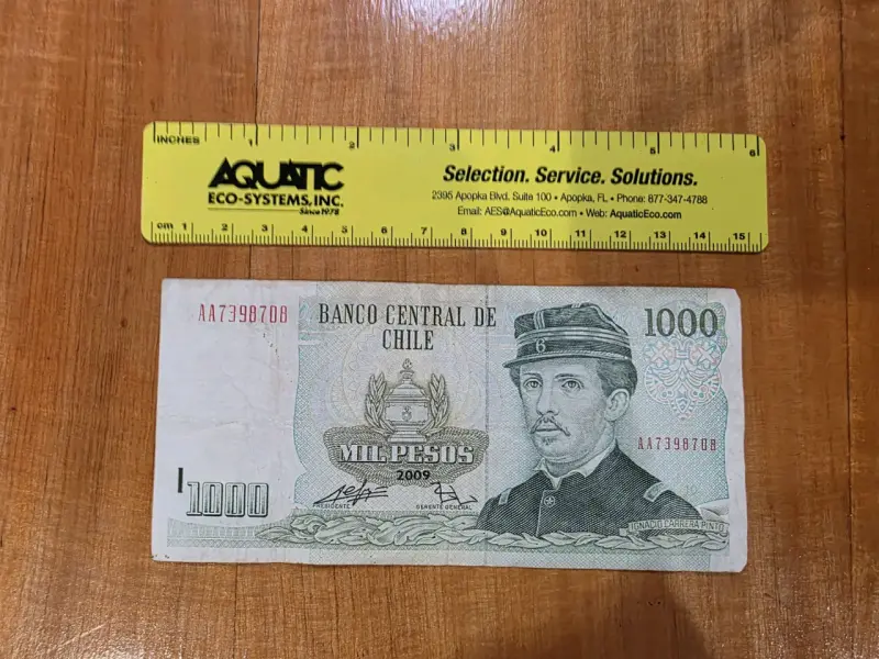 Billete antiguo 1000 pesos chilenos - 1