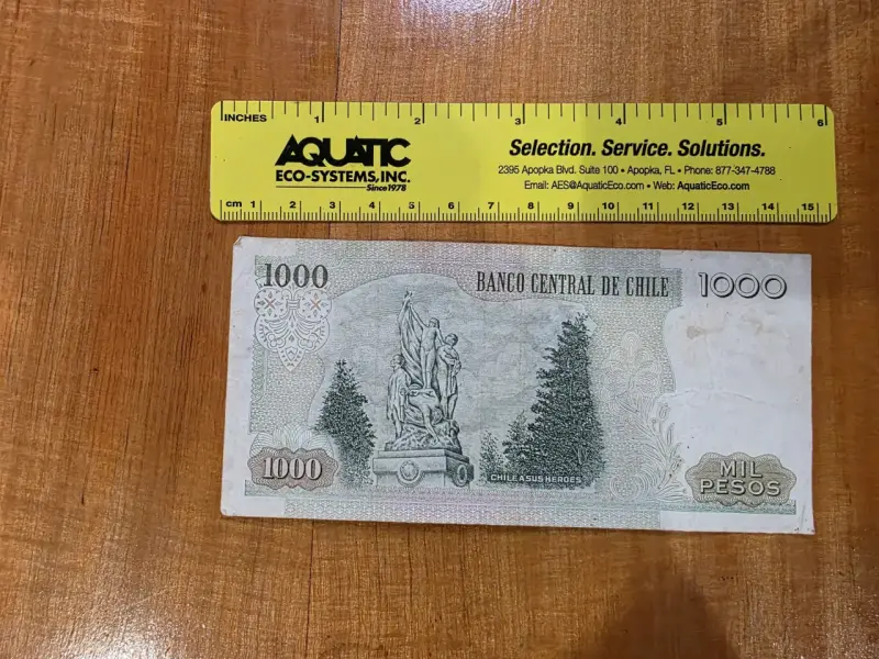 Billete antiguo 1000 pesos chilenos - 2