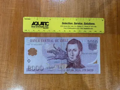 Billete chileno de 2000 pesos - miniatura 1