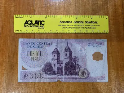 Billete chileno de 2000 pesos - miniatura 2