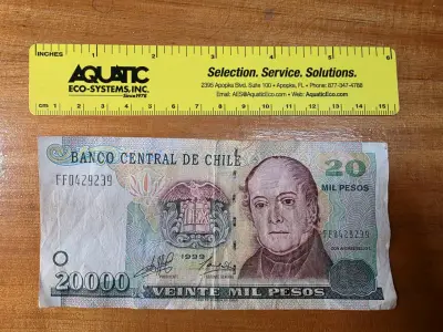 Billete 20000 pesos chilenos - miniatura 1