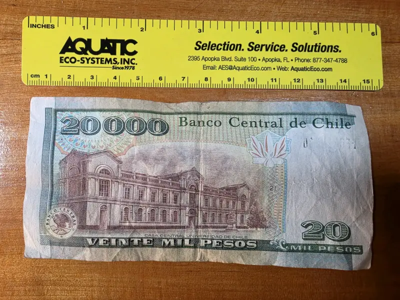 Billete 20000 pesos chilenos - 2