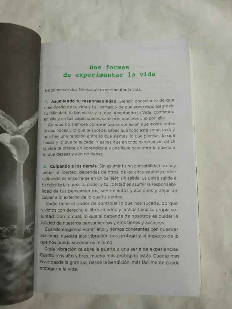 Recupera Tu Poder: Libera Tu Mente De Ruth Nieves - 4